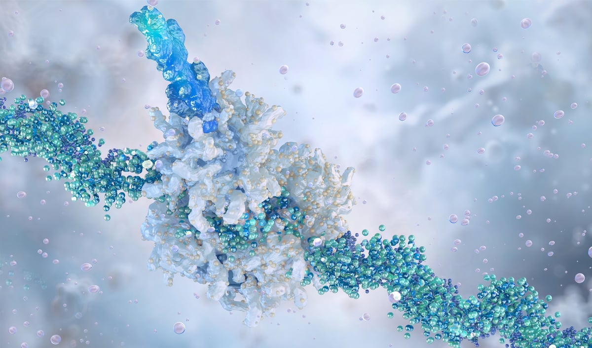 mRNA sintetizando proteína, biología molecular
